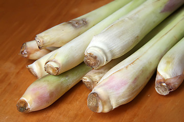 Image showing Fresh lemongrass