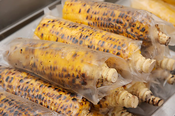 Image showing Corn on the cob