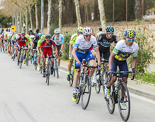 Image showing Nairo Quintana - The Winner of Tour de Catalunya 2016