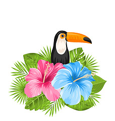 Image showing Beautiful Exotic Nature Background with Toucan Bird, Colorful Hibiscus Flowers 