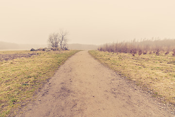 Image showing Nature scenery with a road in the fog