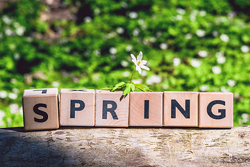 Image showing Spring sign on timber in a forest