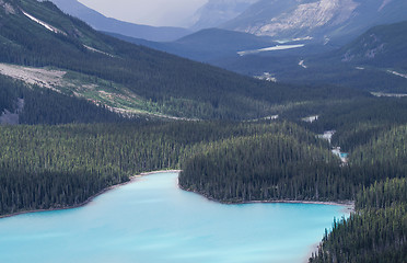 Image showing Blue lake in a forest