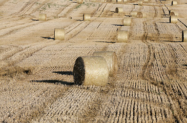 Image showing stack of straw in the field