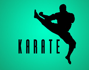 Image showing The silhouette of Man training karate