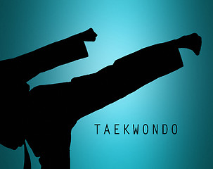 Image showing The silhouette of Man training karate