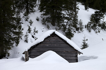 Image showing Old wooden hut covered with snow in winter forest at gray day