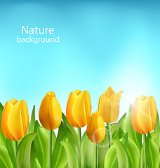 Image showing Nature Floral Background with Tulips Flowers