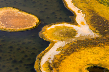 Image showing Yellowstone National Park, Utah, USA