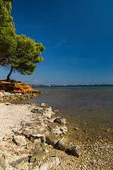 Image showing Island Vir, Croatia