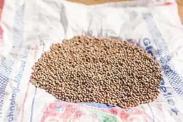 Image showing Pulses drying in the sun