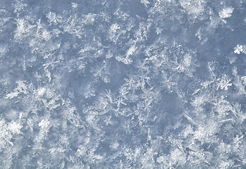 Image showing Snow texture, macro