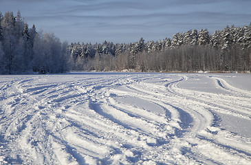 Image showing Tracks on snow