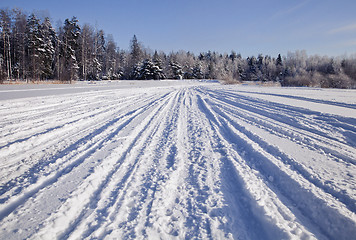Image showing Tracks on snow