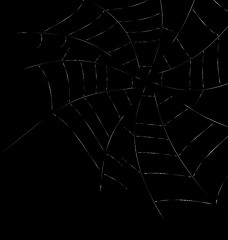 Image showing Trap Spider Web