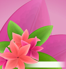 Image showing Illustration pink and red frangipani (plumeria), exotic flowers 