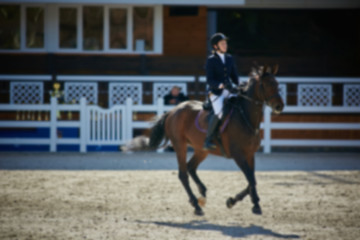 Image showing Equestrian Sports. Horse Jumping. Show. Photo blurred on purpose