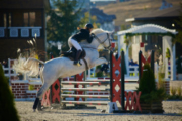 Image showing Rider on bay horse in competitions. Jumping show.