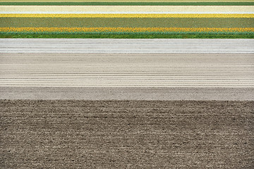 Image showing Fields in Netherlands