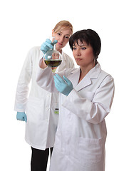 Image showing Scientific laboratory workers