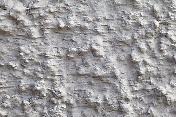 Image showing Wall plaster, close-up