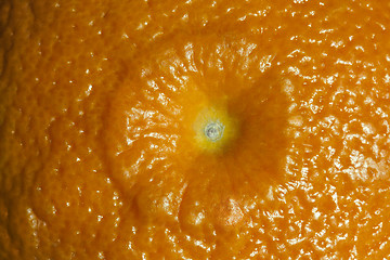 Image showing Close-up of tangerine