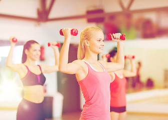 Image showing group of smiling women working out with dumbbells