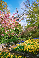 Image showing Spring in Netherlands
