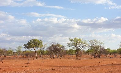 Image showing Kalahari