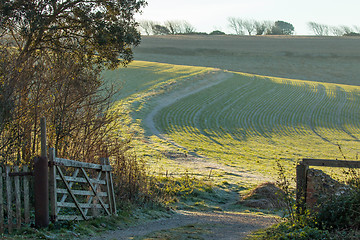 Image showing Field and Gateway