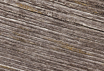 Image showing Abstract cracked wood  