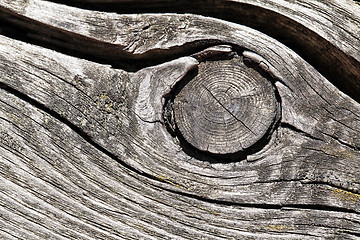 Image showing Cracked wood macro