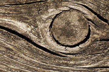 Image showing Cracked wood macro