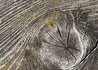 Image showing Abstract cracked wood  