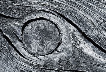 Image showing Cracked wood macro