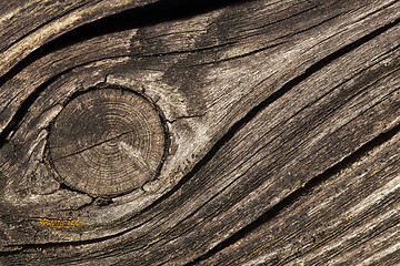 Image showing Cracked wood macro