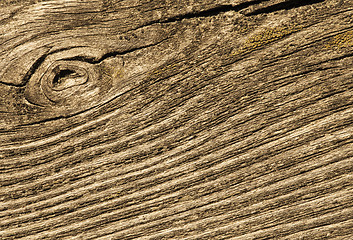 Image showing Cracked wood macro