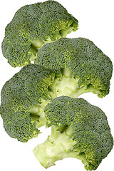 Image showing Raw broccoli