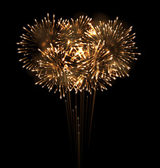 Image showing Festive Grandiose Firework Explode Bursting Sparkling