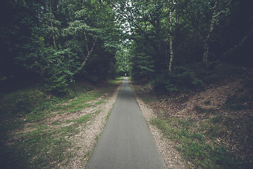 Image showing Forest trail of concrete