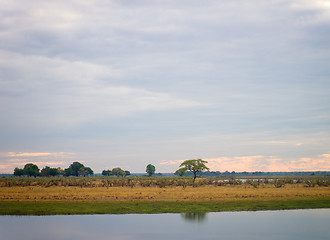 Image showing morning in savannah
