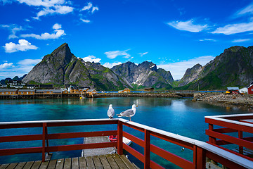 Image showing Lofoten archipelago