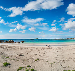 Image showing Beach Lofoten archipelago islands beach