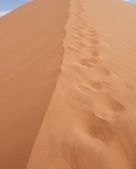 Image showing sand dune