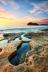 Image showing Rockpools at Pearl Beach