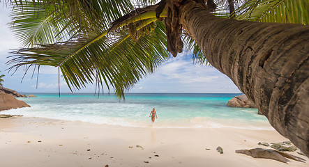 Image showing Woman enjoying Anse Patates picture perfect beach on La Digue Island, Seychelles.