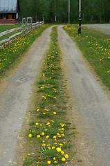 Image showing Country road