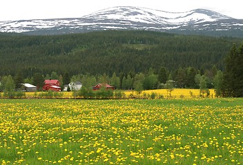 Image showing Norwegian landscape