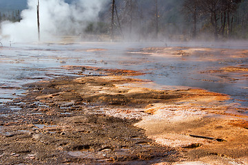 Image showing Yellowstone National Park, Utah, USA