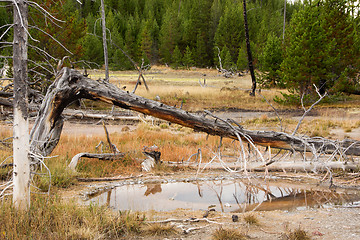 Image showing Yellowstone National Park, Utah, USA